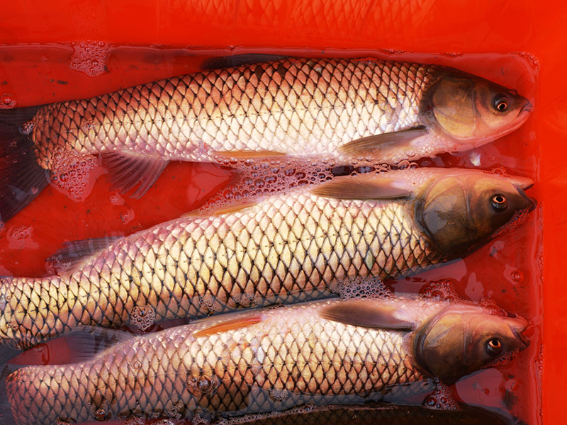 《環(huán)境空氣質量標準》的主要修正案是什么